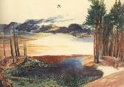 Albrecht Durer A Pond in the woods Sweden oil painting artist